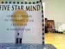 I book I really like: "The Five Star Mind"